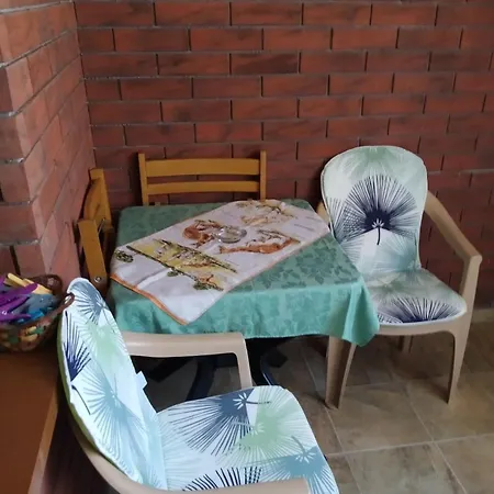 анастасия аполон 6